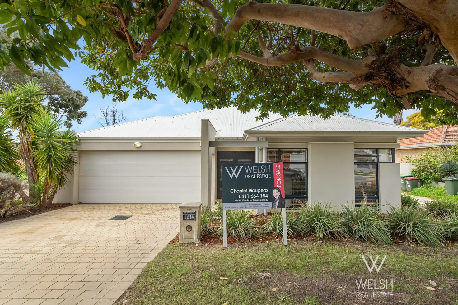 Main view of Homely house listing, 161A Leake Street, Belmont WA 6104