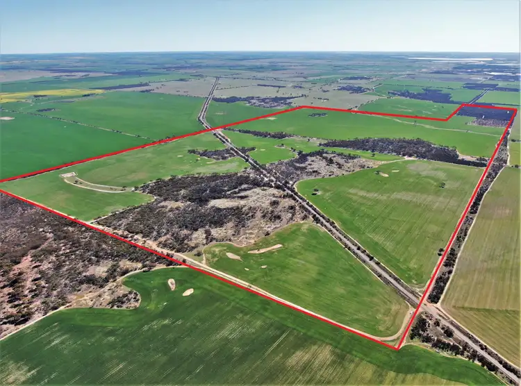 Main view of Homely rural property listing, 3840 Kulin - Lake Grace Road, Jilakin WA 6365