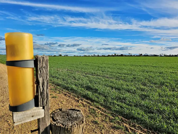 Second view of Homely rural property listing, 3840 Kulin - Lake Grace Road, Jilakin WA 6365