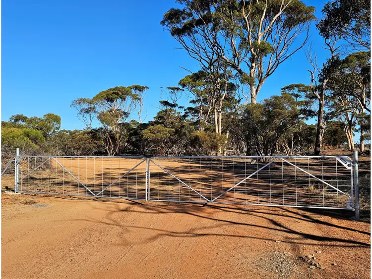 Sixth view of Homely rural property listing, 3840 Kulin - Lake Grace Road, Jilakin WA 6365