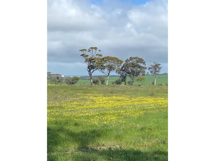 Second view of Homely rural property listing, 50 Chandler Merredin Road, Merredin WA 6415