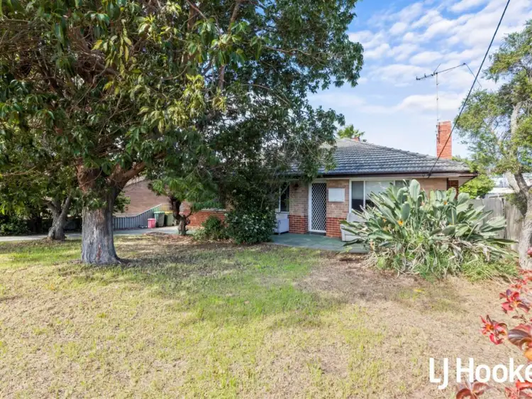 7 Roebuck Street, Innaloo WA 6018