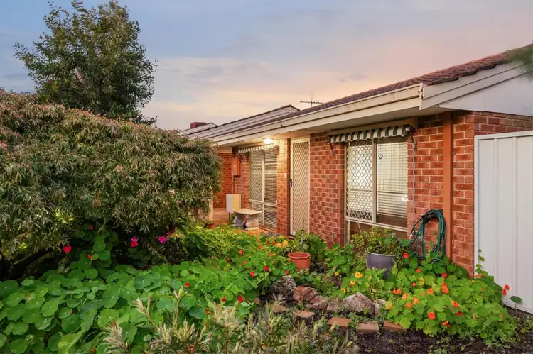 Main view of Homely villa listing, 4/41-45 Avenell Road, Bayswater WA 6053