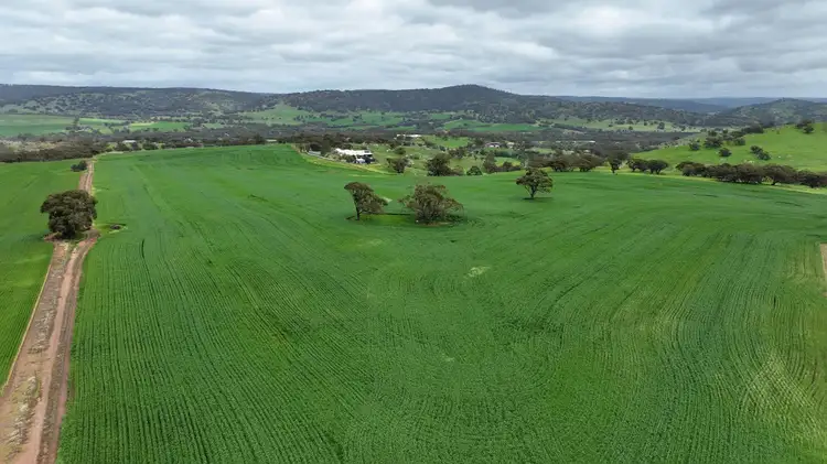 Main view of Homely land listing, 126 Drumree Drive, Toodyay WA 6566