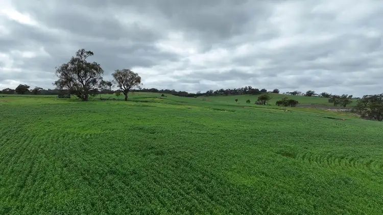 Second view of Homely land listing, 126 Drumree Drive, Toodyay WA 6566