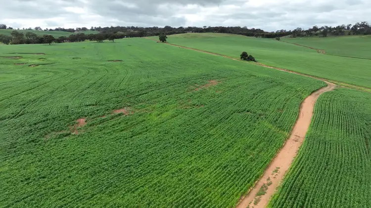Sixth view of Homely land listing, 126 Drumree Drive, Toodyay WA 6566