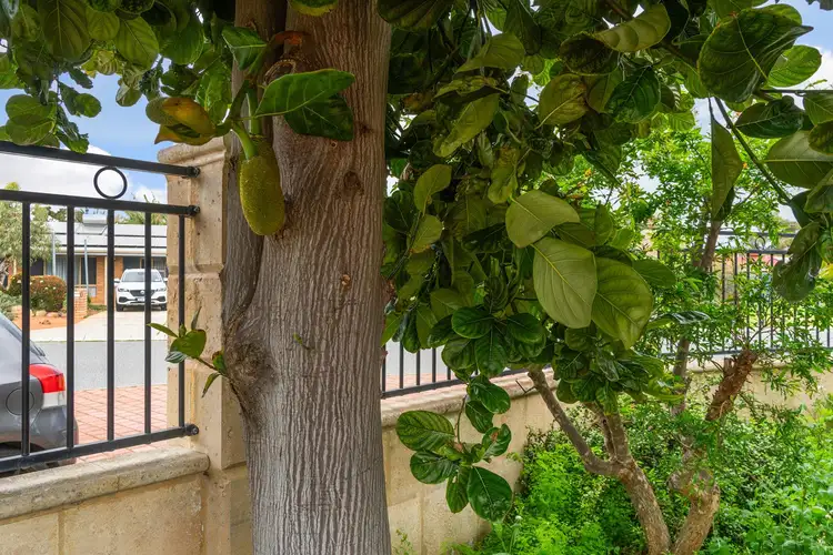 Seventh view of Homely house listing, 1 Horton Crescent, Marangaroo WA 6064