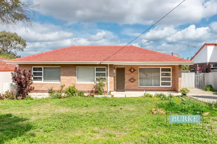 11 Hotchkiss Drive, Balcatta WA 6021