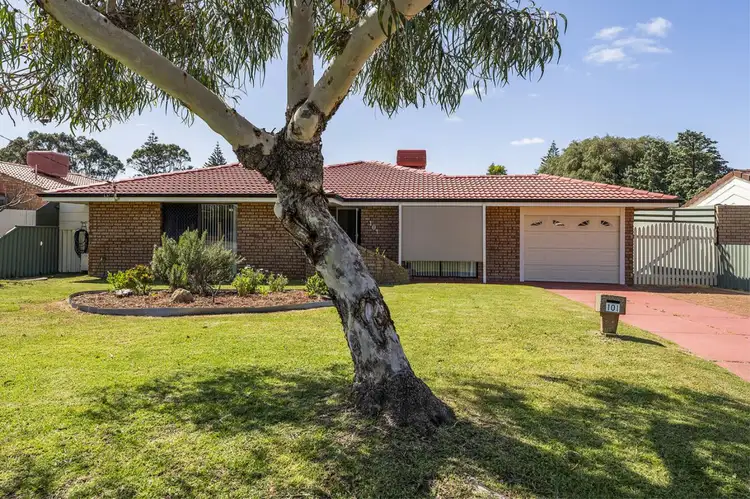 Main view of Homely house listing, 101 Seabrooke Avenue, Rockingham WA 6168