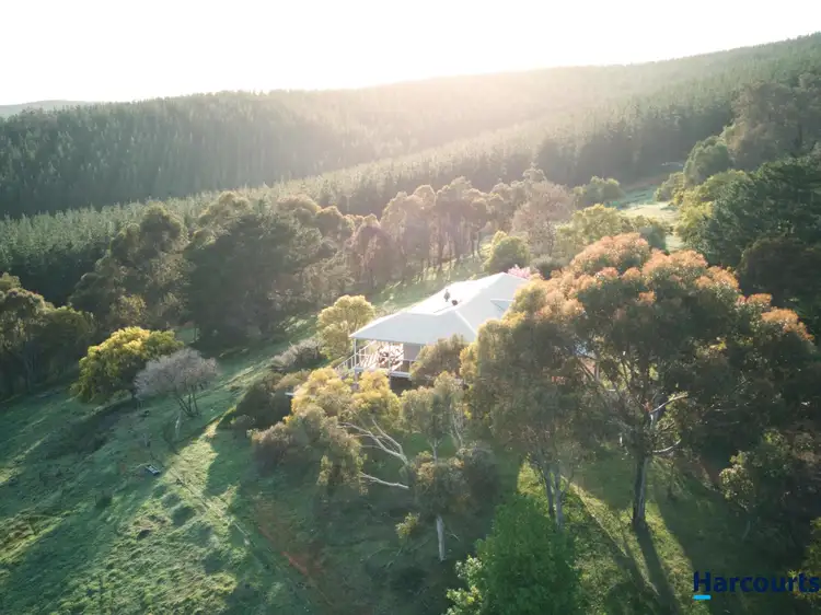 Second view of Homely rural property listing, 835 Balingup - Nannup Road, Southampton WA 6253