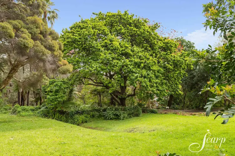 10 Lenori Road