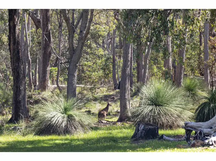 Third view of Homely land listing, Lot 15, Baume Lane, Quindalup WA 6281