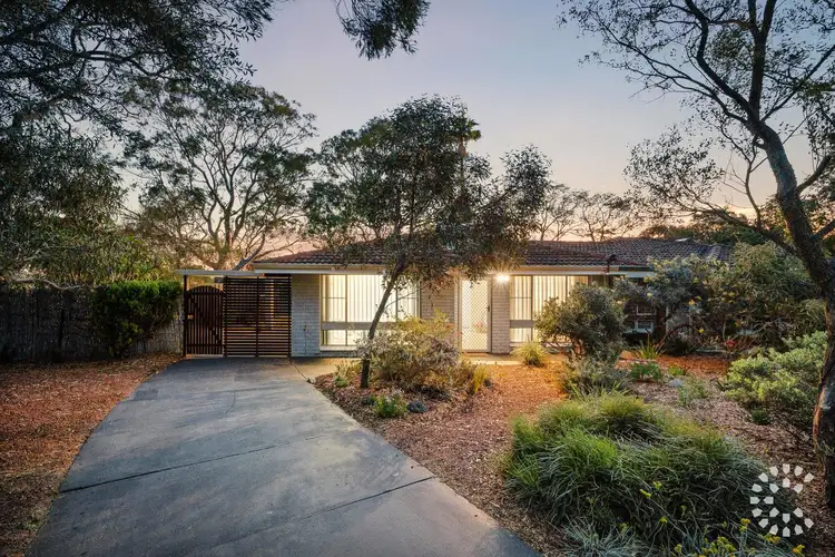 6A Malacari Court, Hamilton Hill WA 6163