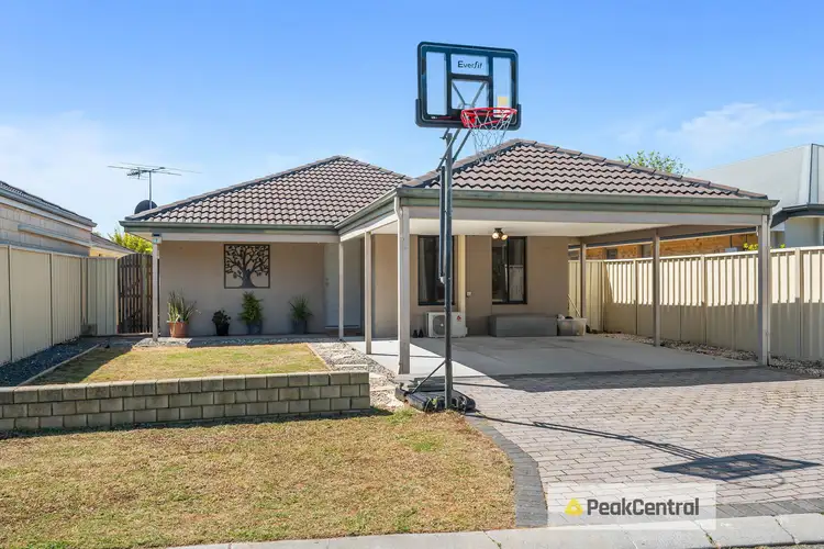 Main view of Homely house listing, 7 Mariposa Gardens, Success WA 6164