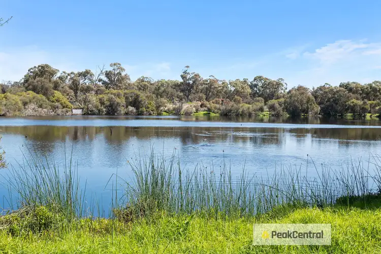 Second view of Homely house listing, 7 Mariposa Gardens, Success WA 6164