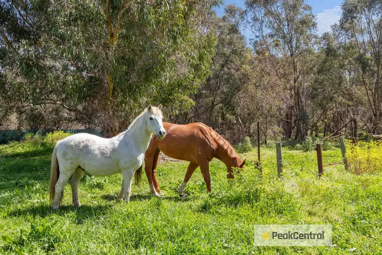 Second view of Homely house listing, 294B Wattleup Road, Wattleup WA 6166