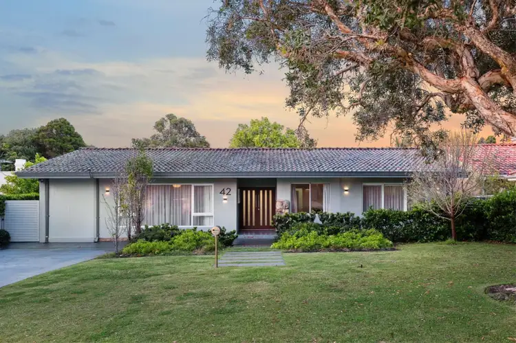 Main view of Homely house listing, 42 Dumfries Road, Floreat WA 6014