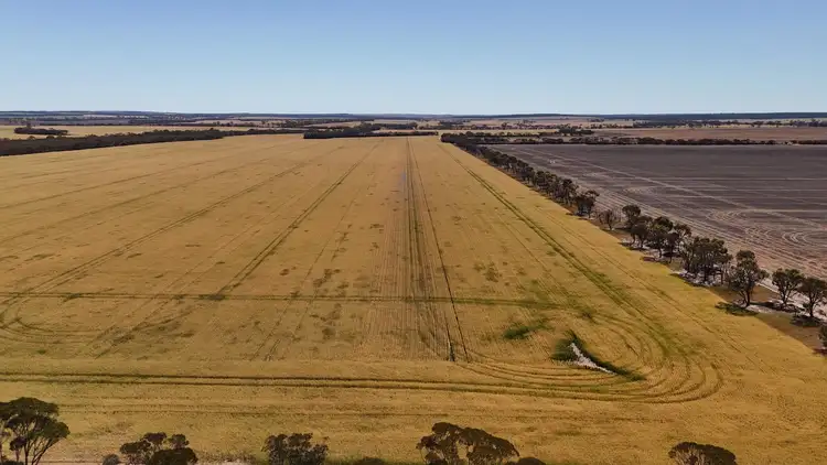 Fourth view of Homely rural property listing, 3279 Calzoni Road, Hyden WA 6359