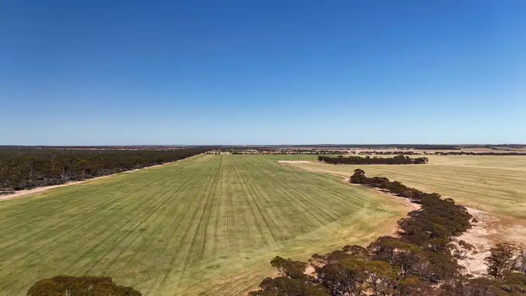 Fifth view of Homely rural property listing, 3279 Calzoni Road, Hyden WA 6359