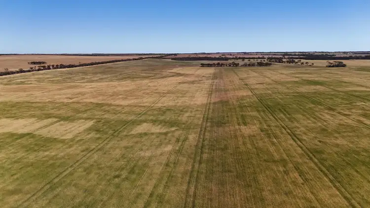 Sixth view of Homely rural property listing, 3279 Calzoni Road, Hyden WA 6359