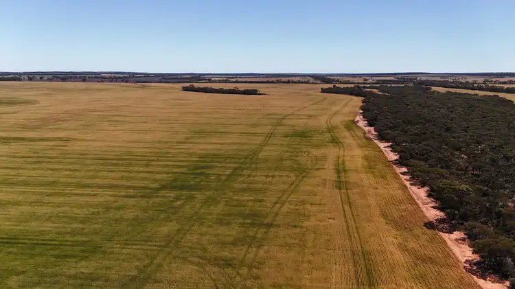 Seventh view of Homely rural property listing, 3279 Calzoni Road, Hyden WA 6359