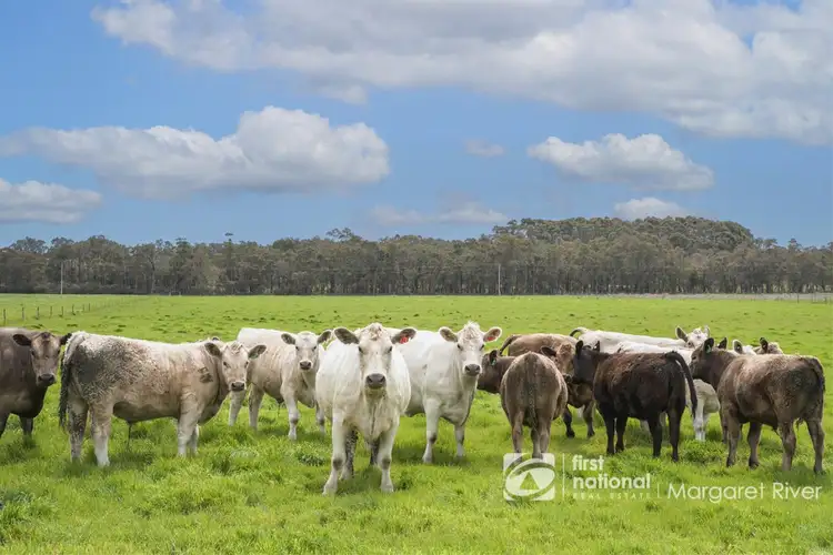Sixth view of Homely rural property listing, 8005 Bussell Highway, Cowaramup WA 6284