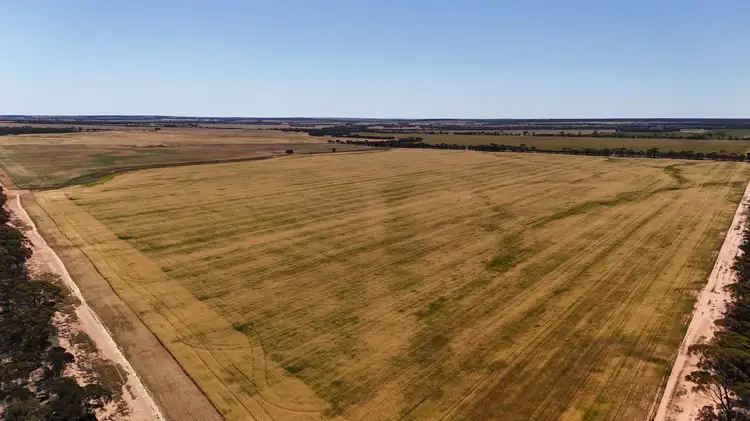 Second view of Homely rural property listing, 10520 Emu Fence Road, Hyden WA 6359