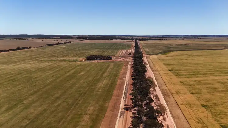 Third view of Homely rural property listing, 10520 Emu Fence Road, Hyden WA 6359