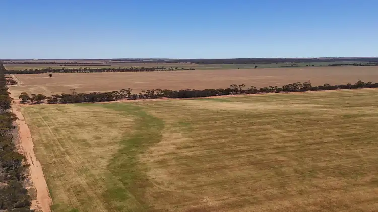 Sixth view of Homely rural property listing, 10520 Emu Fence Road, Hyden WA 6359