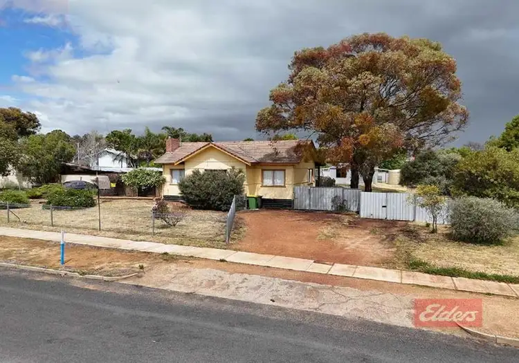 Main view of Homely house listing, 62-64 Fox Street, Narrogin WA 6312