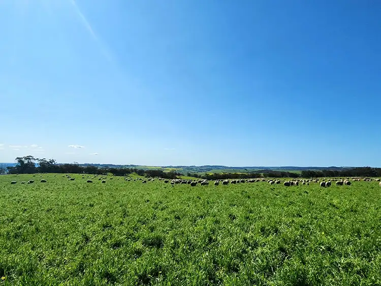 Second view of Homely land listing, 140 Dumbarton Road, Dumbarton WA 6566