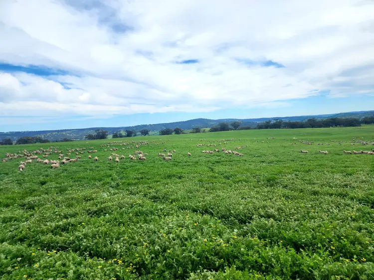 Fifth view of Homely land listing, 140 Dumbarton Road, Dumbarton WA 6566