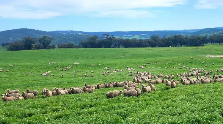 Sixth view of Homely land listing, 140 Dumbarton Road, Dumbarton WA 6566