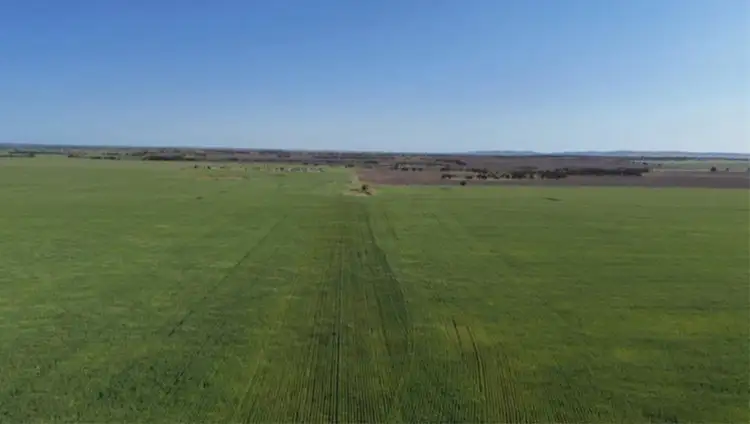 Main view of Homely rural property listing, 12056 Mullewa-Wubin Road, Perenjori WA 6620