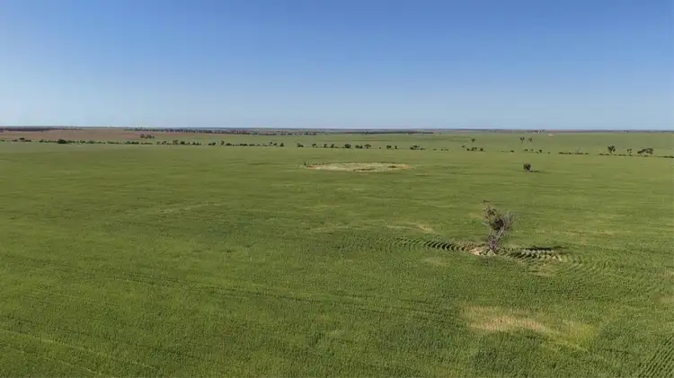 Second view of Homely rural property listing, 12056 Mullewa-Wubin Road, Perenjori WA 6620