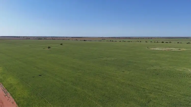 Third view of Homely rural property listing, 12056 Mullewa-Wubin Road, Perenjori WA 6620