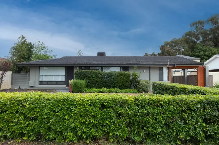 43 Mcgilvray Avenue