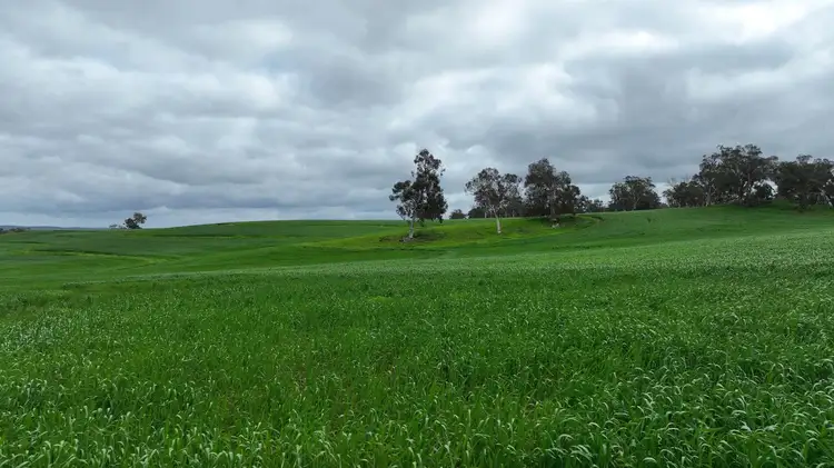 Main view of Homely land listing, 142 Dumbarton Road, Dumbarton WA 6566