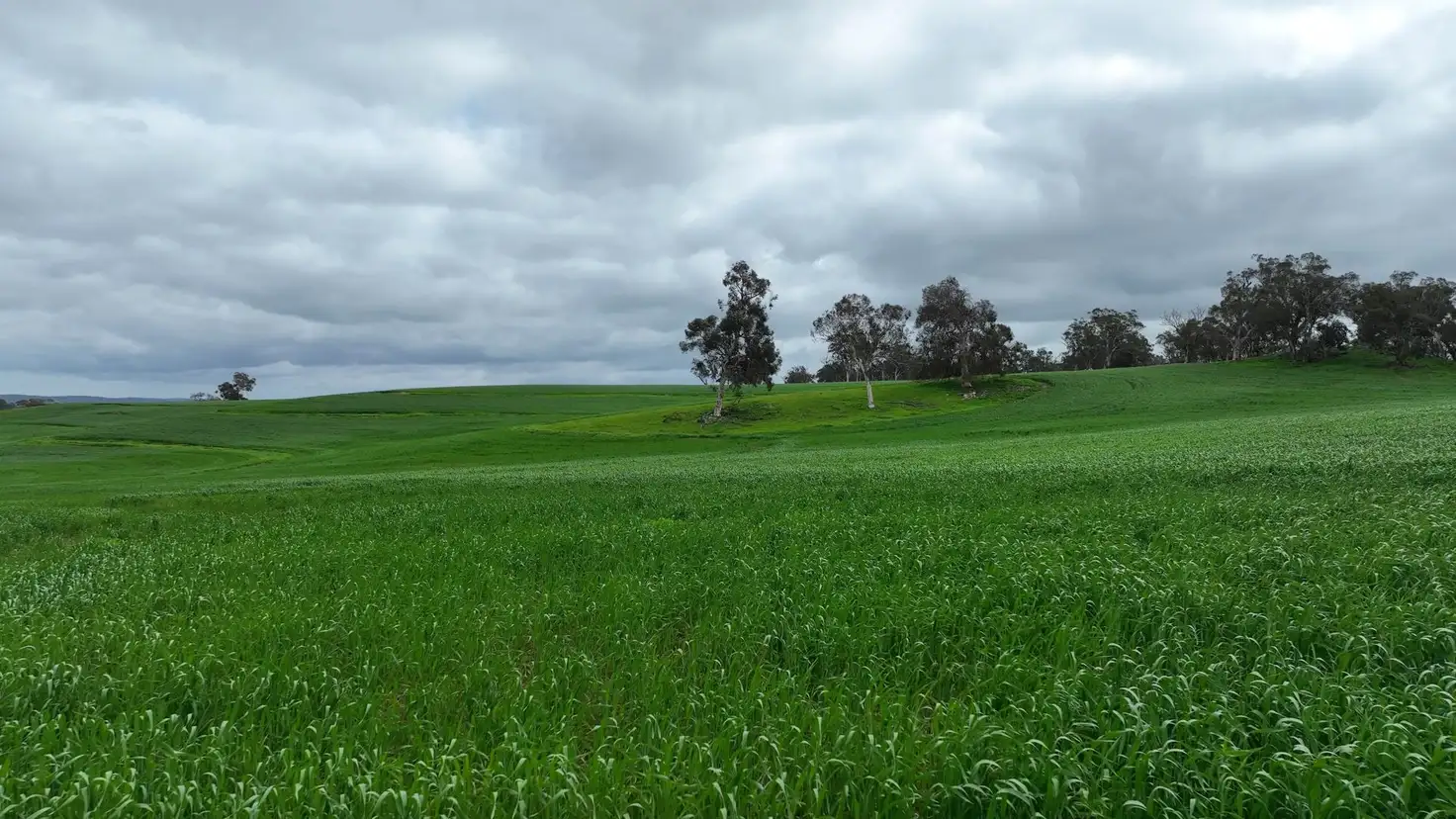Main view of Homely land listing, 142 Dumbarton Road, Dumbarton WA 6566