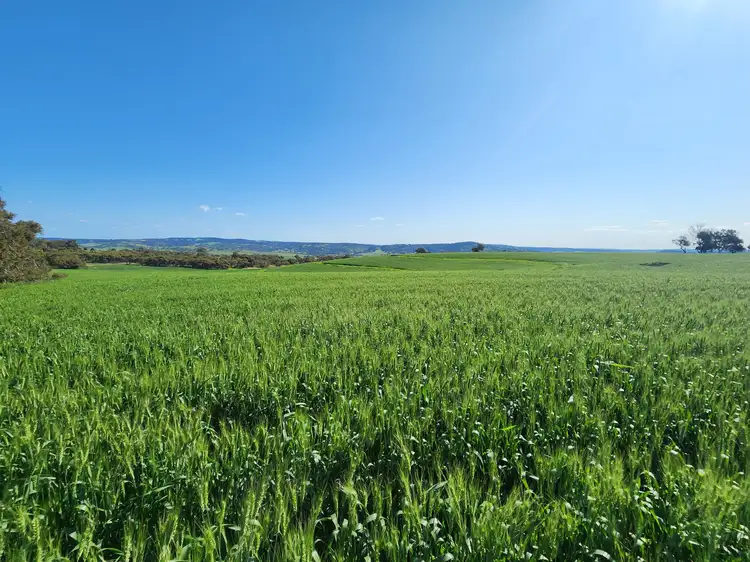 Second view of Homely land listing, 142 Dumbarton Road, Dumbarton WA 6566