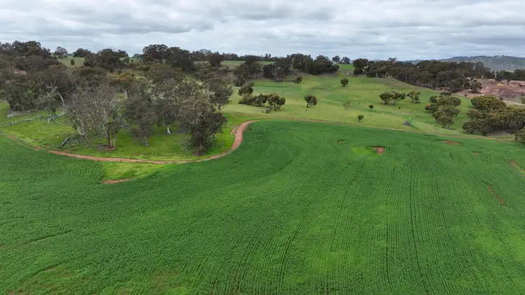 Third view of Homely land listing, 142 Dumbarton Road, Dumbarton WA 6566