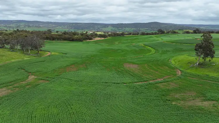 Fourth view of Homely land listing, 142 Dumbarton Road, Dumbarton WA 6566