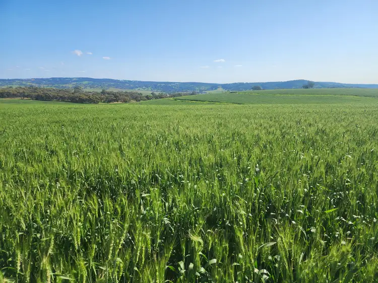 Fifth view of Homely land listing, 142 Dumbarton Road, Dumbarton WA 6566
