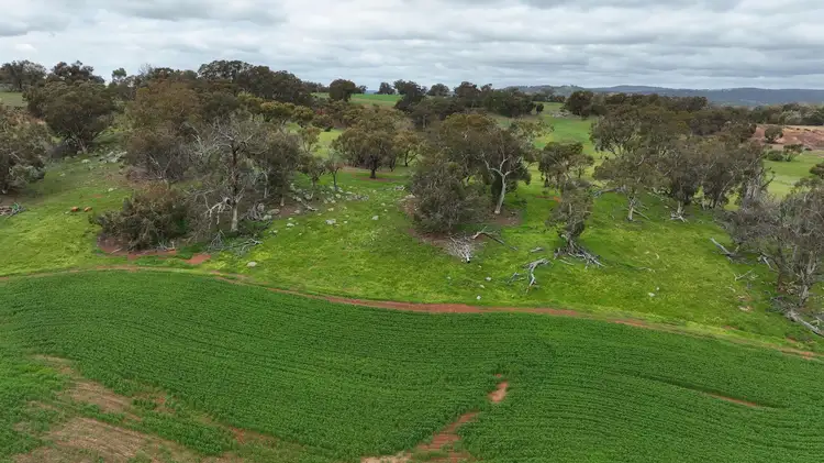 Sixth view of Homely land listing, 142 Dumbarton Road, Dumbarton WA 6566