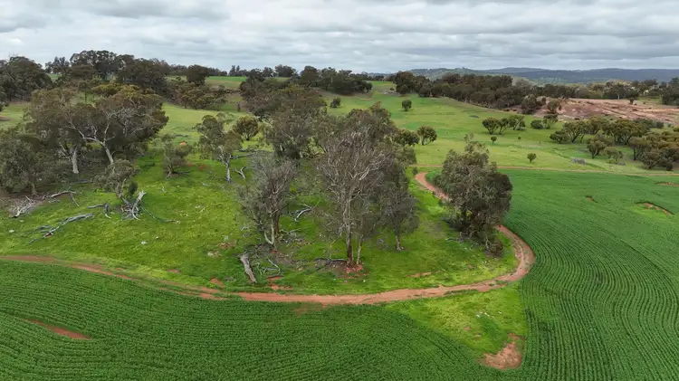 Seventh view of Homely land listing, 142 Dumbarton Road, Dumbarton WA 6566