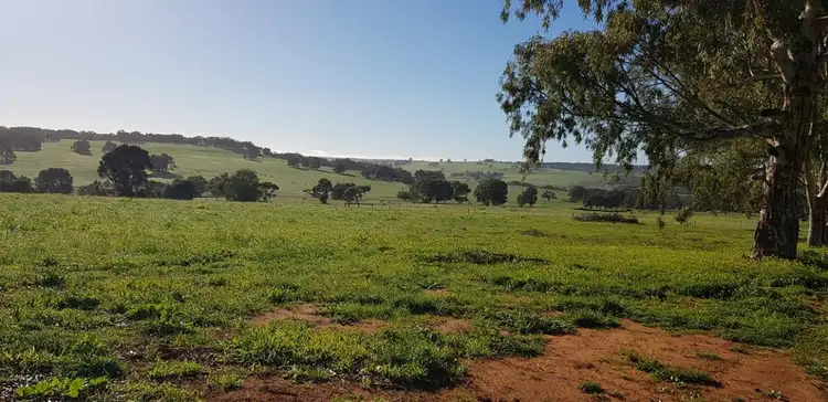 Lot 85, Carnaby  Boulevard, Ginginup WA 6503