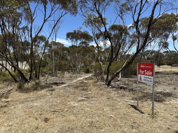 Seventh view of Homely land listing, 5 House Street, Gnowangerup WA 6335
