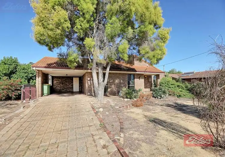 31 Garfield Street, Narrogin WA 6312