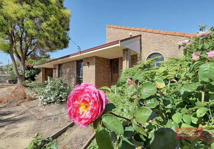 Second view of Homely house listing, 31 Garfield Street, Narrogin WA 6312