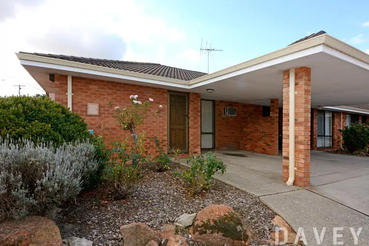 Main view of Homely villa listing, 1/234 Flinders Street, Yokine WA 6060